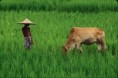 /album/photo-gallery-homepage/photo-lg-bangladesh-jpg/